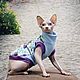 Clothing for cats ' Sweatshirt-Dragonfly', Pet clothes, Biisk,  Фото №1