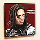Picture Poster Pop Art Winter Soldier, Fine art photographs, Moscow,  Фото №1