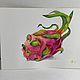 Картина Питахайя акварель для кухни фрукты 19.5 на 27 см. Картины. Картины от Альбины. Ярмарка Мастеров.  Фото №4