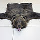 Шкура медведя 160 см, Ковры, Сыктывкар,  Фото №1
