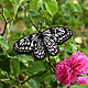 Брошь бабочка Черно-белая, Брошь-булавка, Новочеркасск,  Фото №1