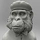 STL файл для ЧПУ и 3D печати Viva la Evolucion. Шаблоны для резки. 3dprint-models. Интернет-магазин Ярмарка Мастеров.  Фото №2