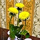 Композиция из одуванчиков Маленькое Cолнце. Композиции. Татьяна 'Magic of  Flowers'. Интернет-магазин Ярмарка Мастеров.  Фото №2