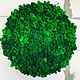 Round phytocartin made of stabilized moss 60 cm. Fitokartins. Антонина Литовкина - Озеленение (Планета Флористики). My Livemaster. Фото №4