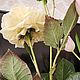 Чайные розы из холодного фарфора. Цветы. Юлия Машинская. Ярмарка Мастеров.  Фото №6