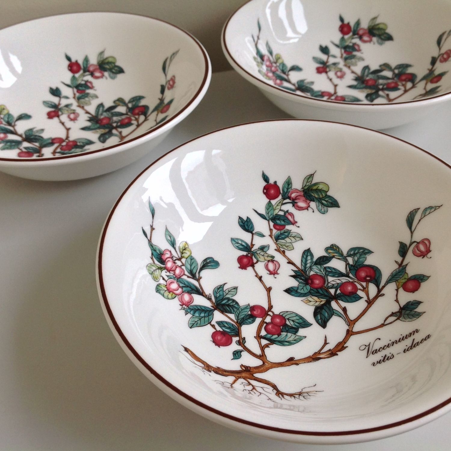 Фарфор villeroy boch