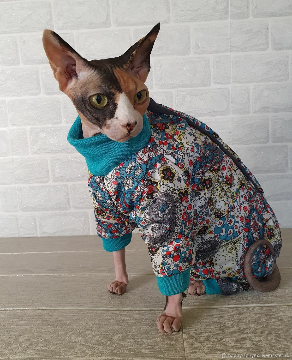 Sphynx Cat Dress for Cat Sphynx Cat Clothes for Cats Custom Girl Cat Dress  Kitten Clothes Girl Cat Outfit Personalized Hairless Cat Clothing