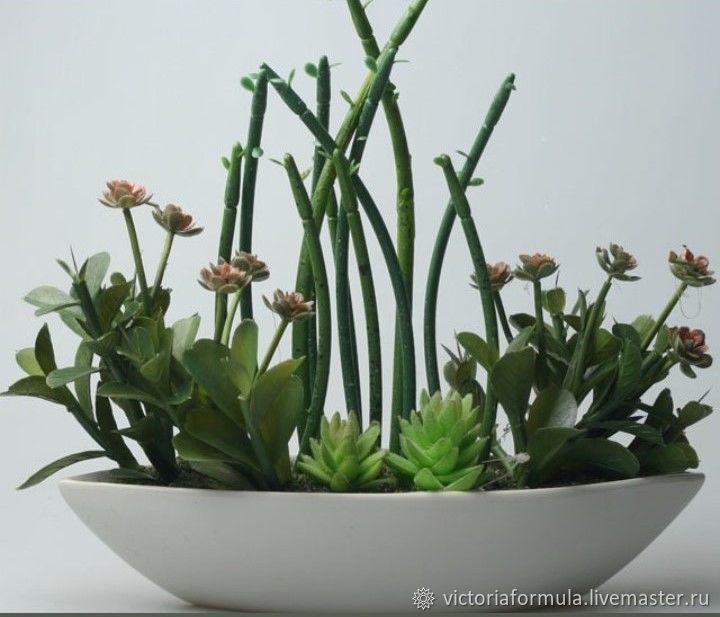Суккуленты в керамическом кашпо. в интернет-магазине на Ярмарке ...