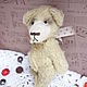 Заказать Остап. Мини-фабрика 'Lou'. Ярмарка Мастеров. . Мягкие игрушки Фото №3