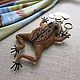 Order Coin holders: Brown Beaded Frog. Keychain coin. SilkArt Tatyana. Livemaster. . Coin boxes Фото №3