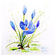 Крокус акварельный рисунок, весенний цветок, Картины, Москва,  Фото №1