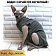 Заказать Боди для кошек и собак на молнии. Одежда для кошек и собак  #CATS_DOGS_EXCLUSIVE_. Ярмарка Мастеров. . Одежда для питомцев Фото №3