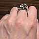 Кольцо "Лев на кольце" литое из серебра 925 пробы. Кольца. GIVALITA JEWELRY (TRUE SILVER). Интернет-магазин Ярмарка Мастеров.  Фото №2