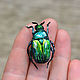 Textile brooch beetle Bronze. Brooches. Heat hands (TeplOlino). Online shopping on My Livemaster.  Фото №2