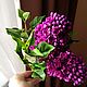 Заказать Сирень из полимерной глины, холодный фарфор, декор, весна. Любовь Федько. Flowers Love. Ярмарка Мастеров. . Композиции Фото №3