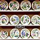 The painted porcelain.Plate porcelain Country history, Plates, Kazan,  Фото №1