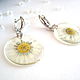 Earrings with Real Daisies White Yellow Green Transparent, Earrings, Taganrog,  Фото №1