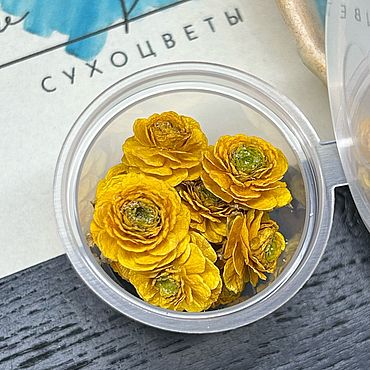 Материалы для творчества ручной работы. Ярмарка Мастеров - ручная работа Сухоцвет Лютик махровый 10шт / 10мл. Handmade.