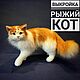 Выкройка реалистичная мягкая игрушка Кот, Выкройки, Ижевск,  Фото №1