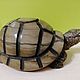 Turtle sculpture made of stone. Figurines. Kamnerezy-urala. Online shopping on My Livemaster.  Фото №2