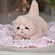 Мастер Класс Котята. Мягкие игрушки. Николаева Екатерина (hand-made-teddy). Ярмарка Мастеров.  Фото №6