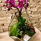 Флорариумы Тиффани. Флорариумы. Florariumstyle. Ярмарка Мастеров.  Фото №4