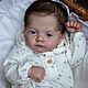 Reborn Lily, Куклы Reborn, Иваново,  Фото №1