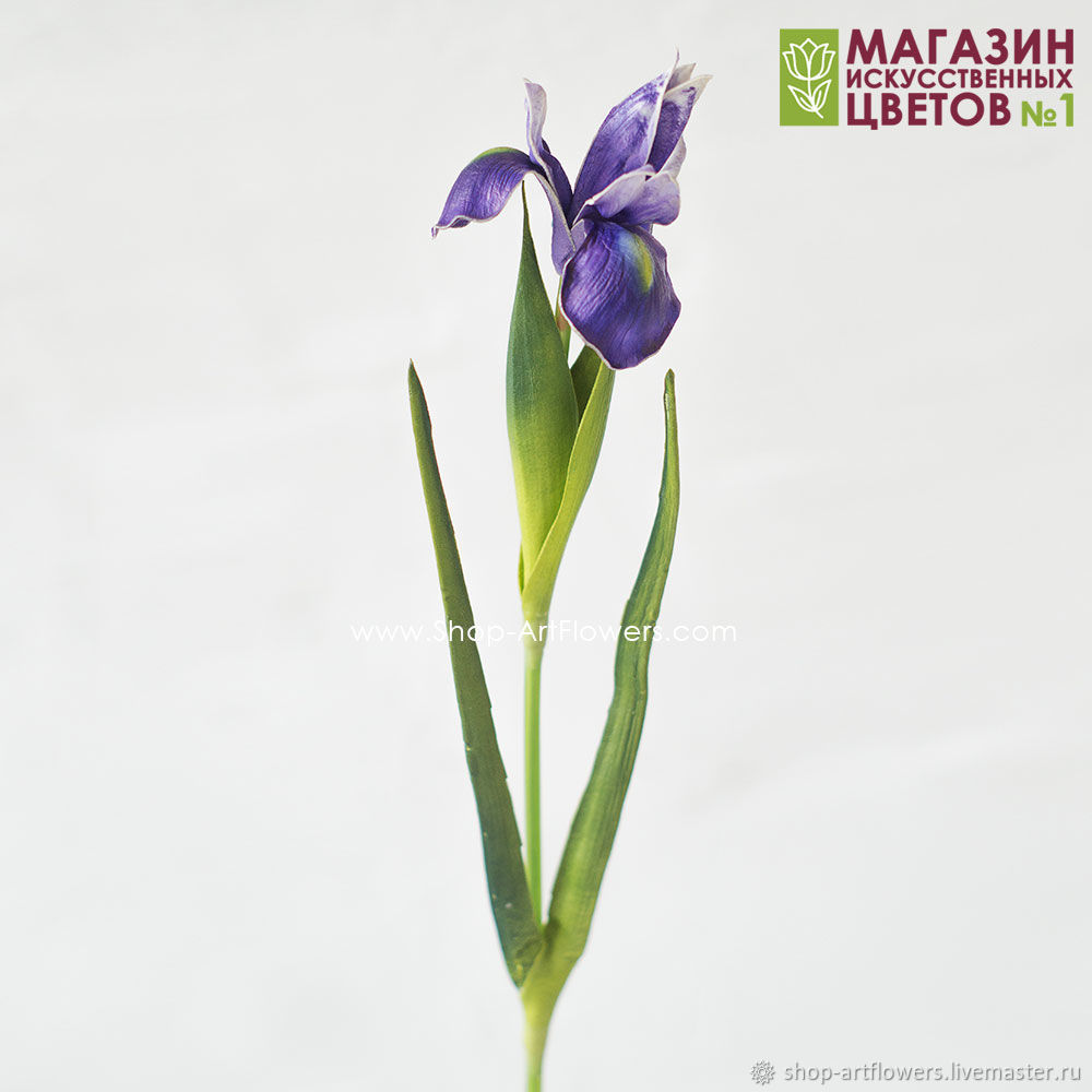 Ирисы Искусственные Купить В Интернет Магазине