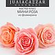Мастер-класс: "Мини роза" своими руками. Мастер-классы. Цезарь Юлия Викторовна. Ярмарка Мастеров.  Фото №5