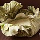 Felted cabbage for a photo shoot of newborn, Photo Shoot Accessories, Rostov-on-Don,  Фото №1