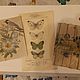 Подвески интерьерные, плетеные, набор, handmade. стиль ОБШАРПЭ, Элементы интерьера, Краснодар,  Фото №1
