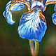  flowers Irises. Original. Pastel. Pictures. Valeria Akulova ART. My Livemaster. Фото №6