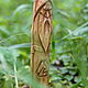 One soldier. Ritual attributes. berlamsky (BerLamsky). My Livemaster. Фото №6