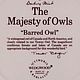 Заказать Винтаж: Винтажная тарелка Barred Owl от Wedgwood пёстрая неясыть. Farfor Сlub. Ярмарка Мастеров. . Тарелки винтажные Фото №3