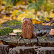 Wooden Bear Cub, Miniature figurines, Novosibirsk,  Фото №1
