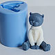 Silicone mold for soap 'cat in a sweater 3D', Form, Shahty,  Фото №1