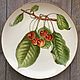 Painted porcelain. Plate ' Cherries», Plates, Kaluga,  Фото №1