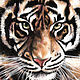  Tiger. symbol of the year. Print from the author's work. Pictures. Valeria Akulova ART. My Livemaster. Фото №5
