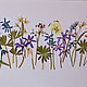 Сухоцветы плоские гербарий "первоцветы" (набор - 7), Цветы сухие и стабилизированные, Егорьевск,  Фото №1