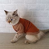 Зоотовары handmade. Livemaster - original item Clothing for cats and dogs Sweatshirt 