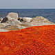 Сентябрь у моря. Шали. Glashacat. Ярмарка Мастеров.  Фото №5