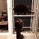 Съёмный кошачий балкончик "Кошка на окошке". Вольеры. Кошка на окошке (catsafety). Ярмарка Мастеров.  Фото №4