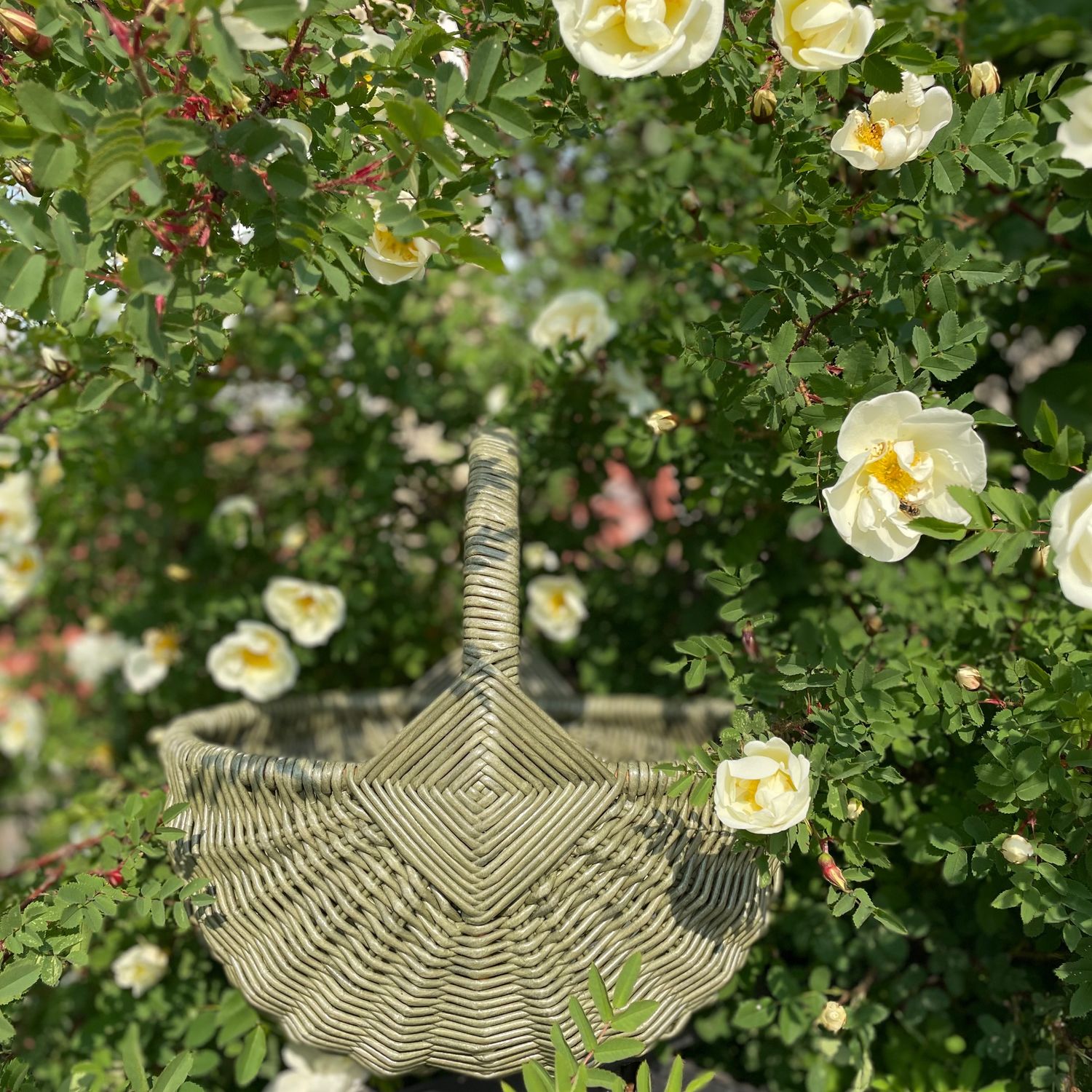 Фруктовая корзина Летний сад