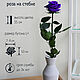 Роза на стебле размера L+ фиолетовая, Букеты, Москва,  Фото №1