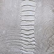 Материалы для творчества handmade. Livemaster - original item Ostrich skin from the shin, crust, dressing for painting!. Handmade.