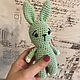 Зайчик lucky rabbit, Амигуруми куклы и игрушки, Москва,  Фото №1