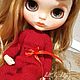 Кастом куклы Блайз ТБЛ на заказ. Кукла Кастом. Dolls By Dilya. Ярмарка Мастеров.  Фото №6