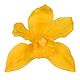 Стабилизированные Бутоны орхидеи "Amarilo Calido" Sumbidium. Цветы сухие и стабилизированные. Flority. Интернет-магазин Ярмарка Мастеров.  Фото №2