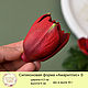 Silicone soap mold 'Amaryllis' S. Form. myfavoriteforms (myfavoriteforms). Online shopping on My Livemaster.  Фото №2
