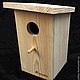 A simple birdhouse for the birds
